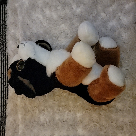 12 in TY Beanie Roscoe - Picture 1 of 6